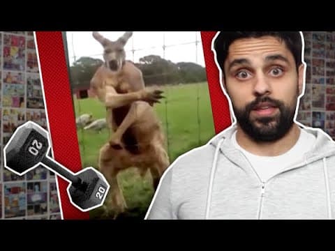 How Your Donations Help