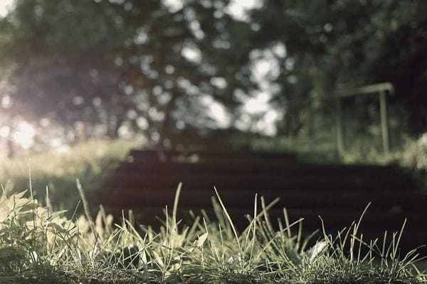 Generous Donation of School Books