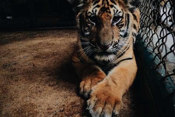 Volunteers Needed for Medical Outreach