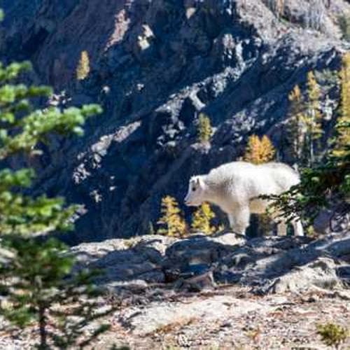 Rebuilding Hope: The Adebayo Family Gets a New Home